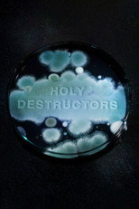 Poster de la película Holy Destructors