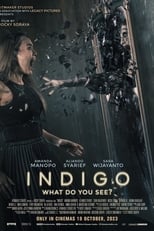 Poster de la película Indigo