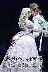 Poster de la película A Second Fortuitous Meeting －My only shinin' star－