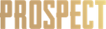 Logo Prospect
