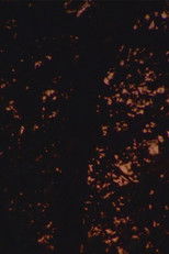 Poster de la película Solennelle