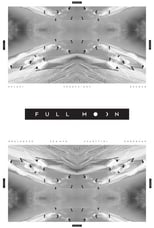 Poster de la película Full Moon
