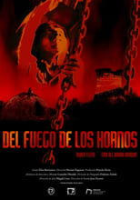 Poster de la película Del Fuego de los Hornos