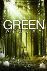 Poster de la película The Green Planet