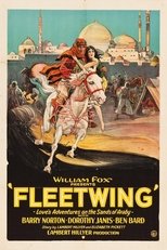 Poster de la película Fleetwing