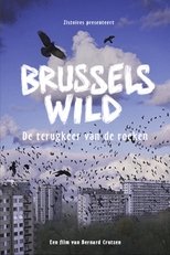 Poster de la película Bruxelles Sauvage - Le retour des corbeaux