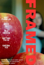 Poster de la película Framed
