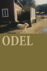 Poster de la película The Odelsrett
