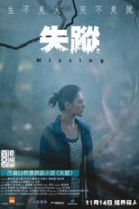 Poster de la película Missing