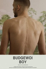 Poster de la película Budgewoi Boy