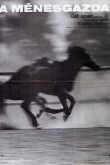 Poster de la película The Stud Farm