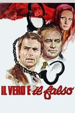 Poster de la película The Hassled Hooker