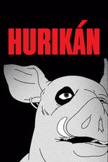 Poster de la película Hurikán