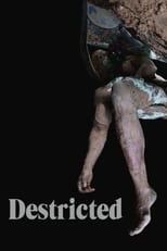 Poster de la película Destricted