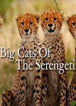 Poster de la película Big Cats of the Serengeti
