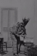 Poster de la película The Indian Chief and the Seidlitz Powder