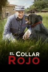 Poster de la película El collar rojo