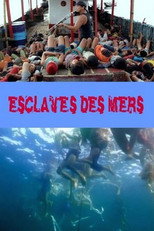 Poster de la película Slaves of the Seas