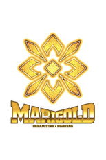 Poster de la serie Dream Star★Fighting Marigold