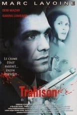 Poster de la película Decepción Final