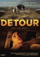 Poster de la película Detour