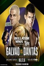 Poster de la película Bellator 156: Galvao vs. Dantas 2