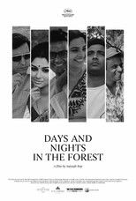 Poster de la película Days and Nights in the Forest