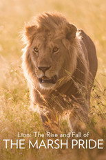 Poster de la película Lion: The Rise and Fall of the Marsh Pride