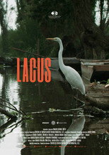 Poster de la película Lacus