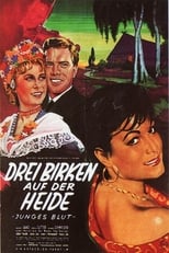 Poster de la película Drei Birken auf der Heide