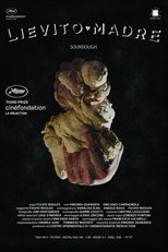 Poster de la película Sourdough