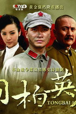 Poster de la serie 桐柏英雄