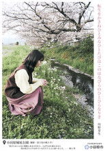 Poster de la película Odawara City, Where Poetries are Made