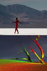 Poster de la película bodies of the desert