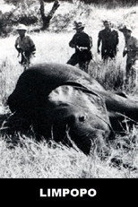 Poster de la película Limpopo
