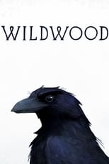 Poster de la película Wildwood