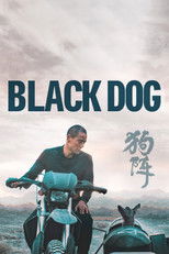 Poster de la película Black Dog