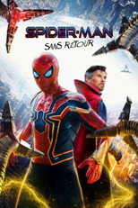 Spider-Man : Sans retour