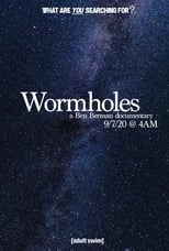 Poster de la película Wormholes