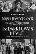 Poster de la película The Darktown Revue