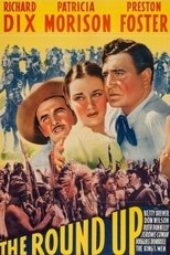 Poster de la película The Roundup