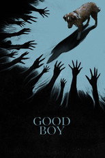 Poster de la película Good Boy