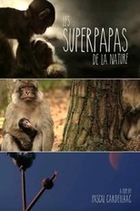 Poster de la película Nature's Superdads