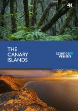 Poster de la película The Canary Islands