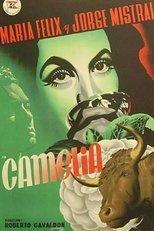 Poster de la película Camelia