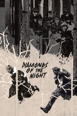 Poster de la película Diamonds of the Night