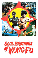 Poster de la película Soul Brothers of Kung Fu