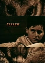 Poster de la película Possum