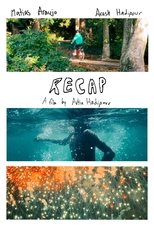 Poster de la película Recap