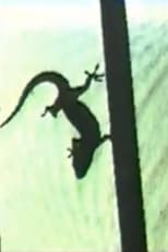 Poster de la película Lizard, or How to Perform in Front of the Reptile